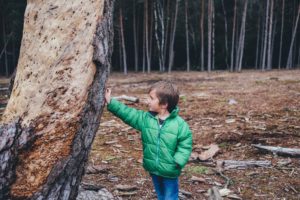 Metairie Child Custody Lawyer